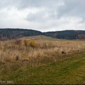 Listopadowy Mieroszów