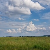 Termika nas nie oszczędza.