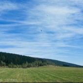 Mieroszów - Paragliding Fly, Żagiel i termika