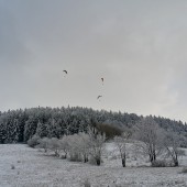 Zimowy Klin-Andrzejówka Paragliding Fly, Ci którzy jeszcze nie zamarzli jeszcze latają.