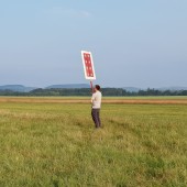 Test tarczy, biała czy czerwona, a może biała ?