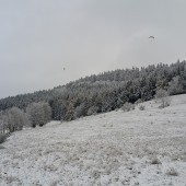 Ci którzy jeszcze nie zamarzli jeszcze latają.