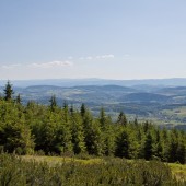 Tu przy dobrej pogodzie można zobaczyć Śnieżnik. Paragliding na Żmiju.